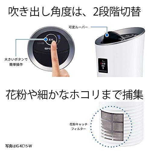 日本 SHARP Plasmacluster 多功能離子車載空氣淨化器（預購10天） 日本其他配件